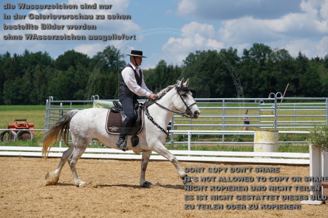 s_K3F06162.JPG